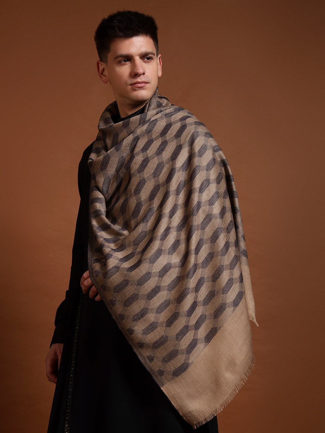 Men Kavya Ikat 100% Pure Wool Checkered Stole