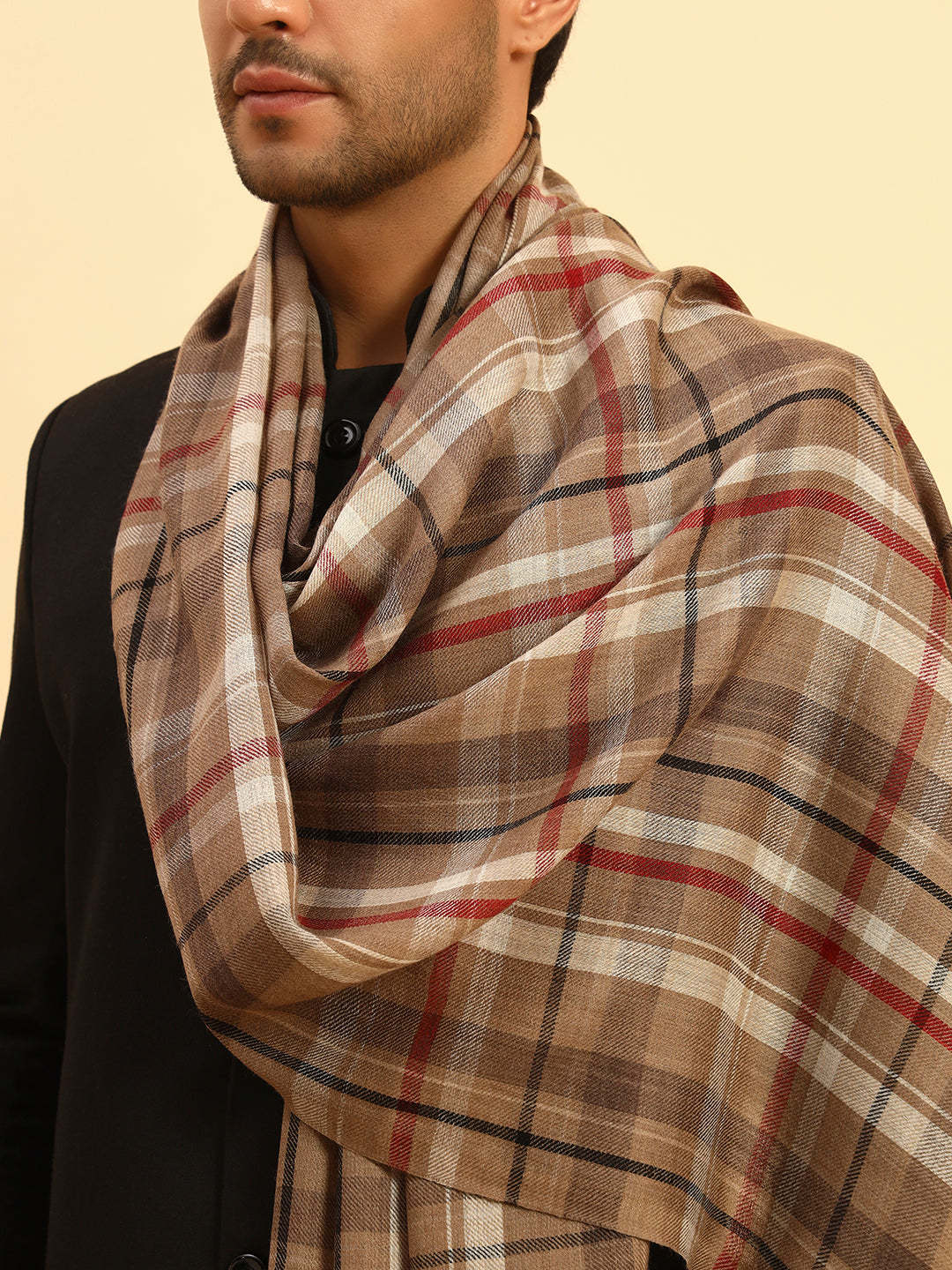 Pashmoda Men Saaz 100% Pure Wool Checkered Stole (71X203cm)
