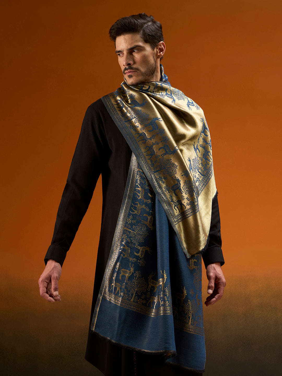 Men Shahi Caravan Reversible Zari Stole