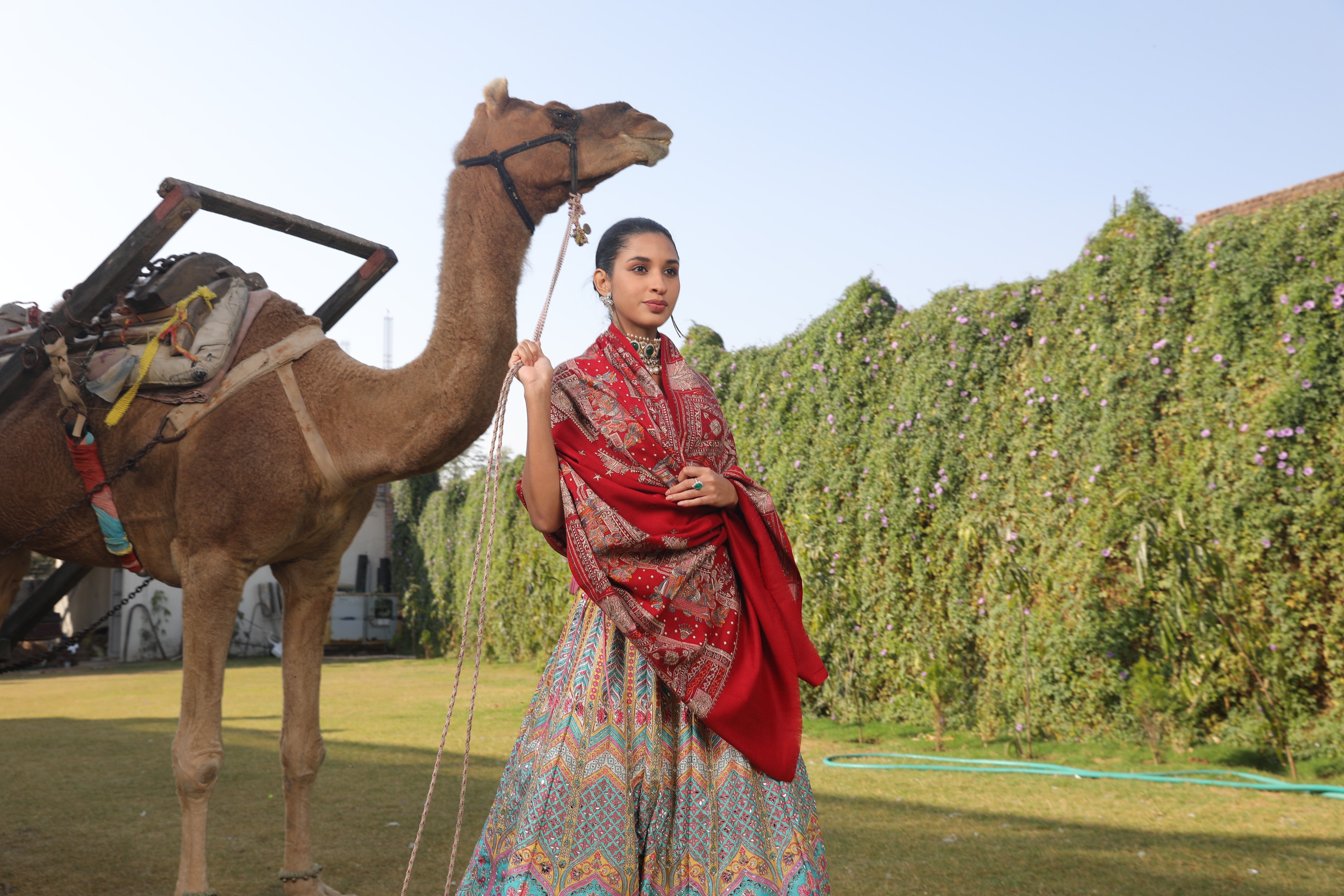 Pashmoda Women Zavian 100% Pure Wool Sozni Hand Embroidered Shawl (Size: 101x203 Cm)